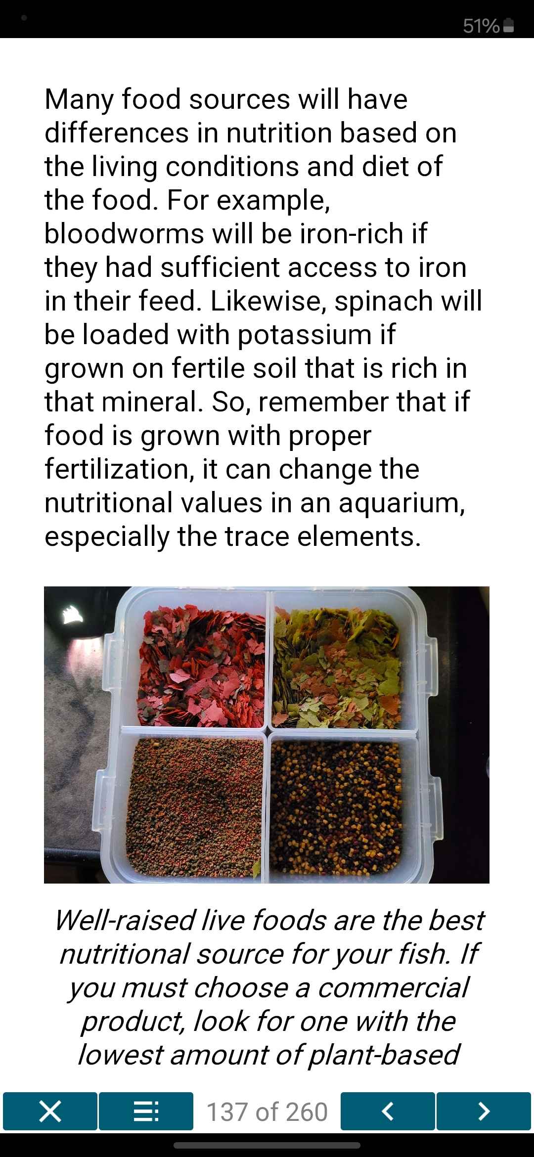 The Natural Aquarium - A Complete Guide