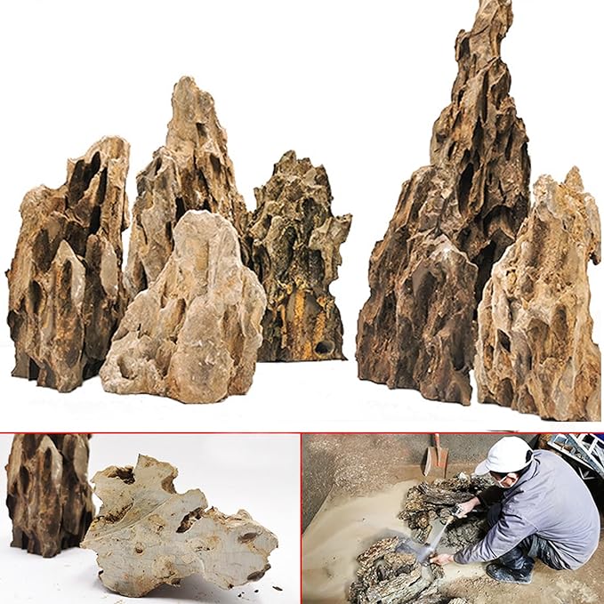 Dragon Stone 2"- 8" (20lbs)
