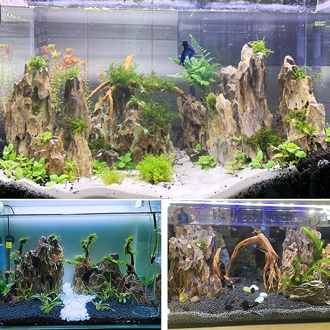 Dragon Stone 2"- 6" (10lbs)