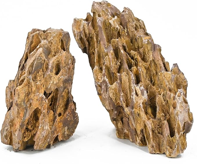 Dragon Stone 2"- 6" (10lbs)