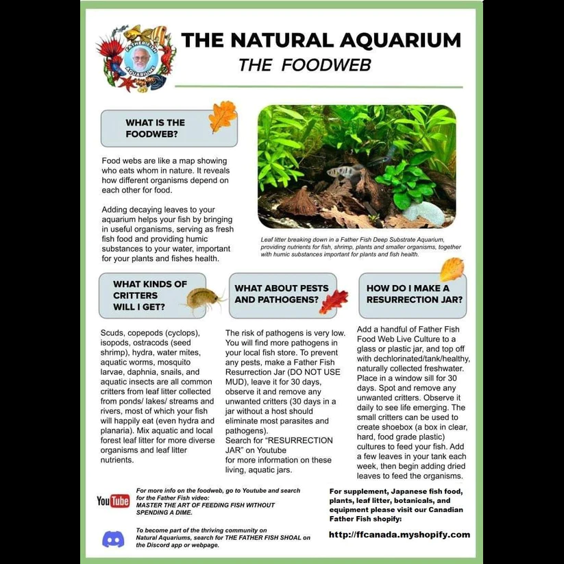 Food Web Information Sheet
