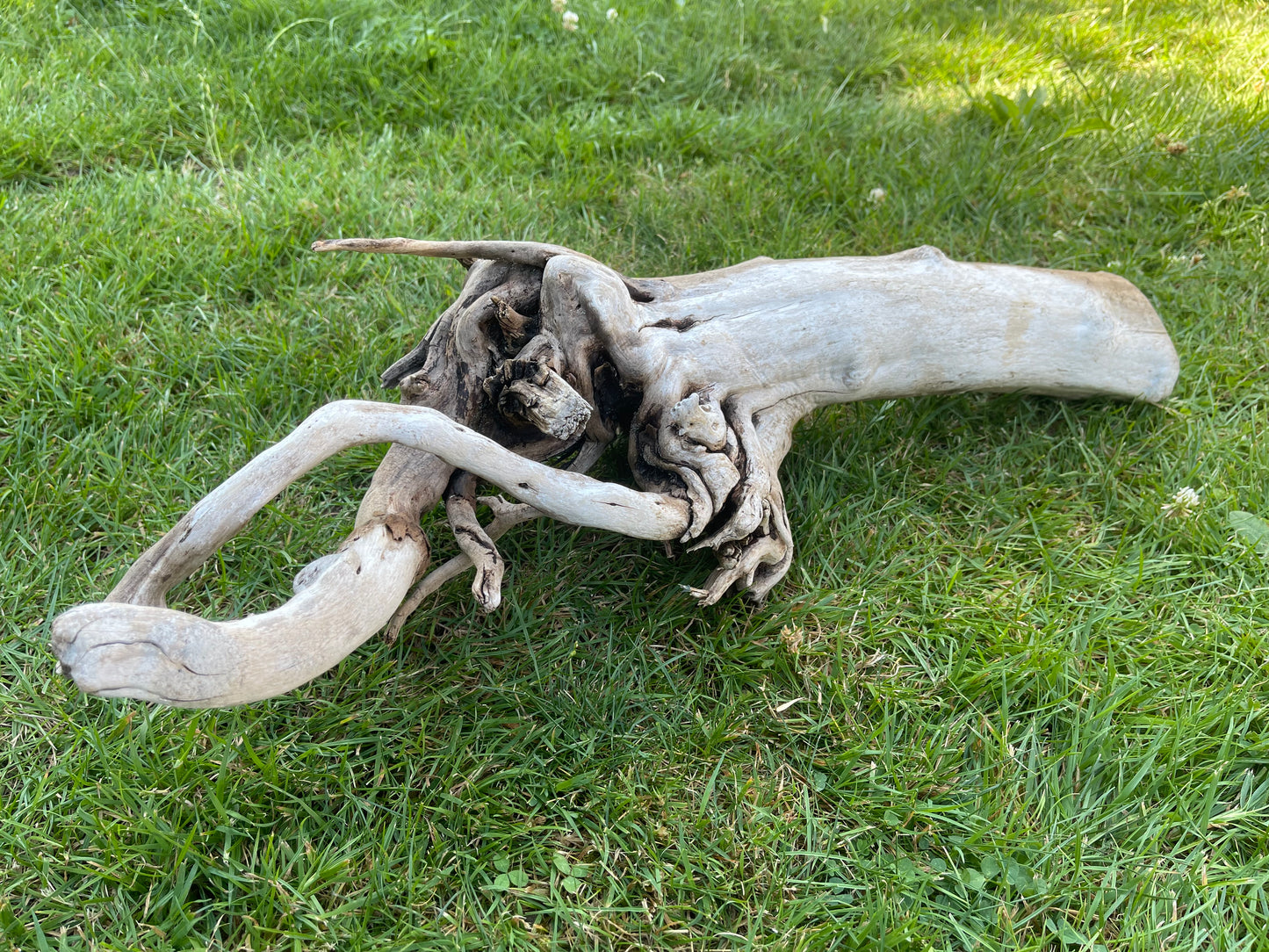 Large Aquarium Driftwood