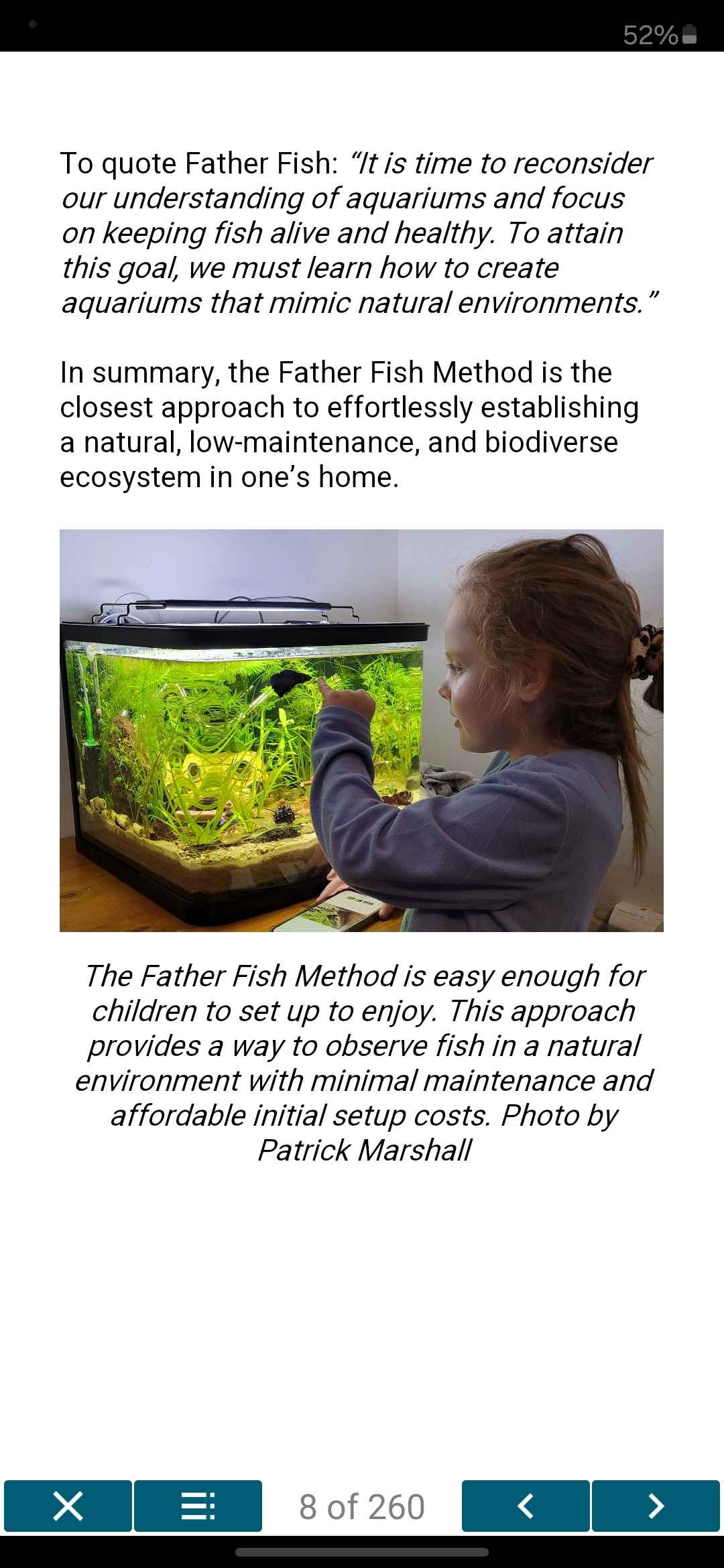 The Natural Aquarium - A Complete Guide