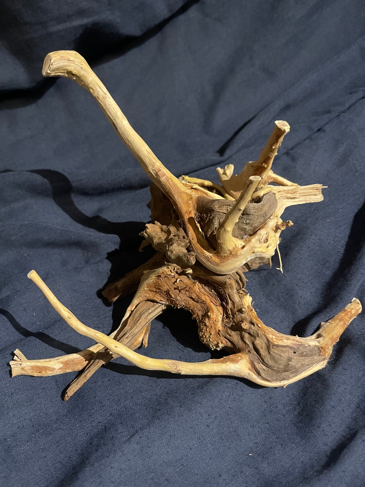 Aquarium Driftwood