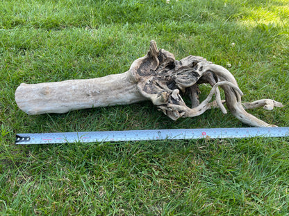 Large Aquarium Driftwood