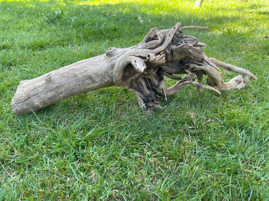 Large Aquarium Driftwood