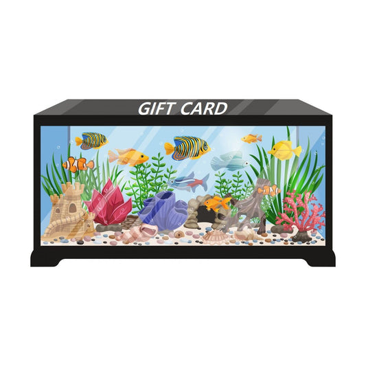 Father Fish Gift Card