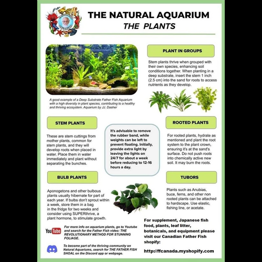 Plant Information Sheet