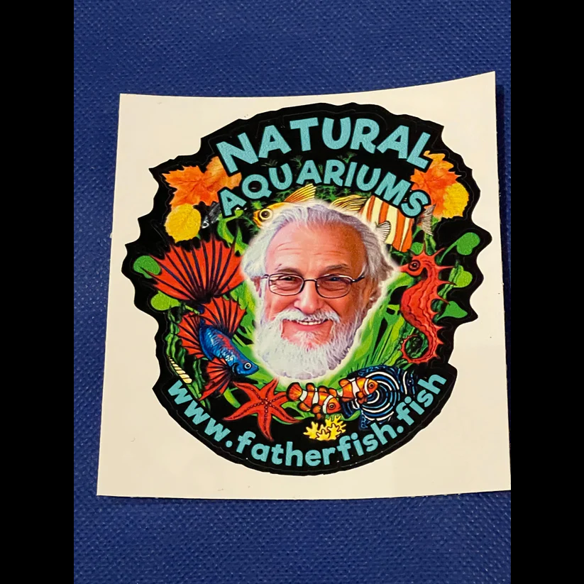 Father Fish Sticker
